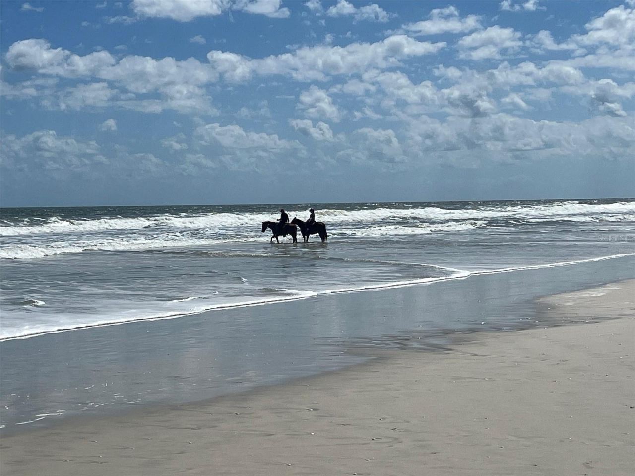 Photo 11 of 11: Horse back riding on beach