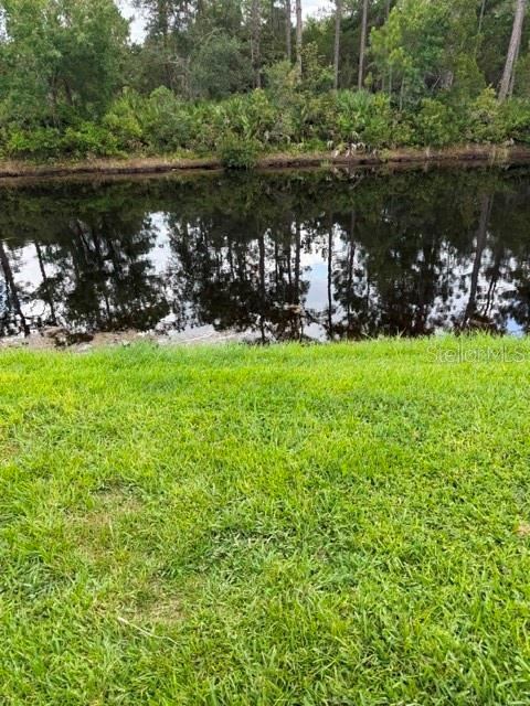 Photo 3 of 4: Back yard view