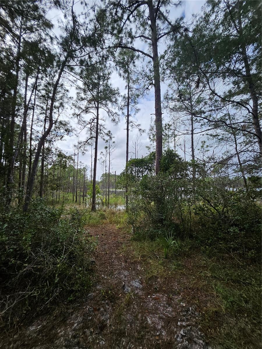 Photo 15 of 20
