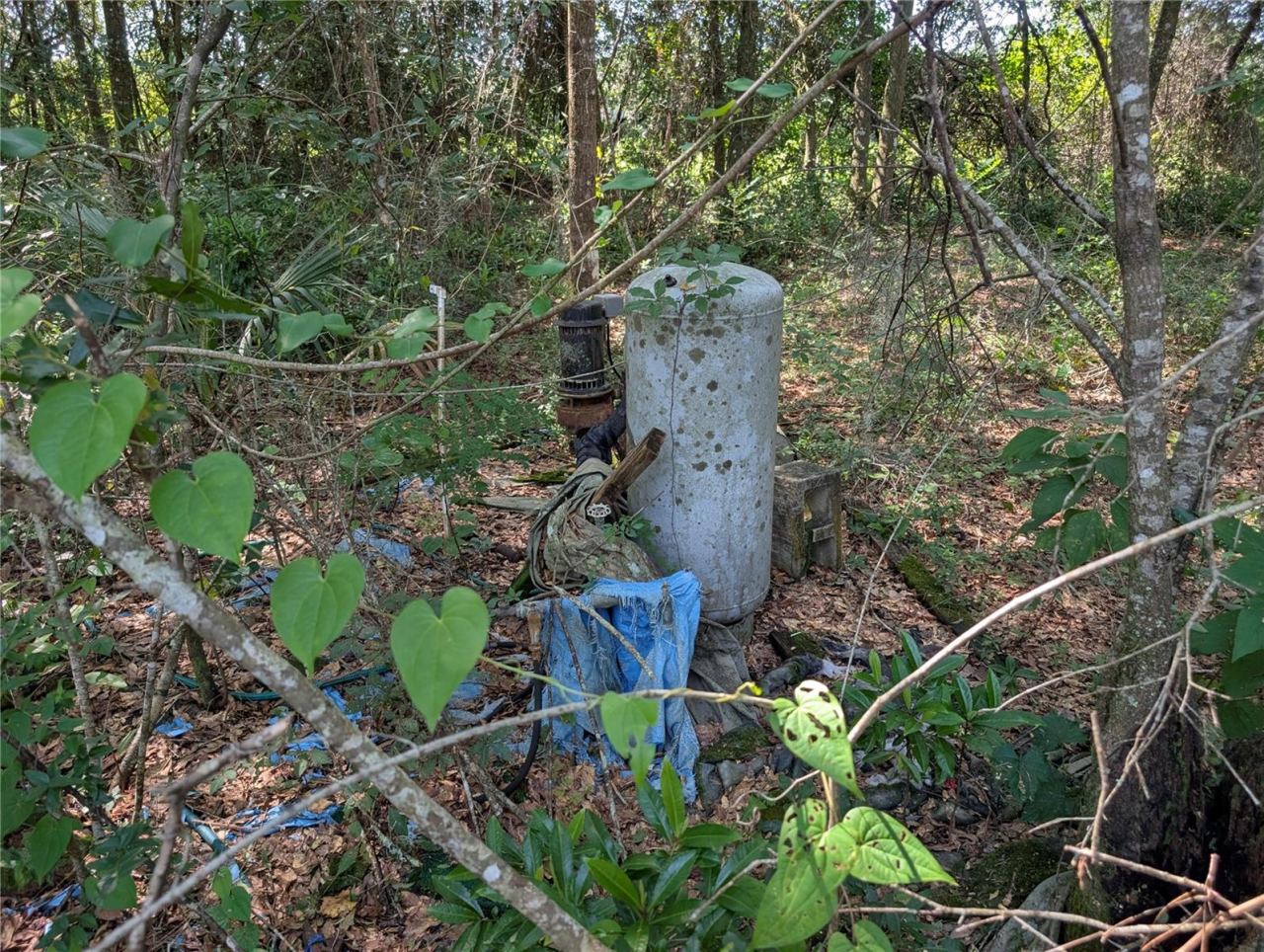 Photo 8 of 16: Well