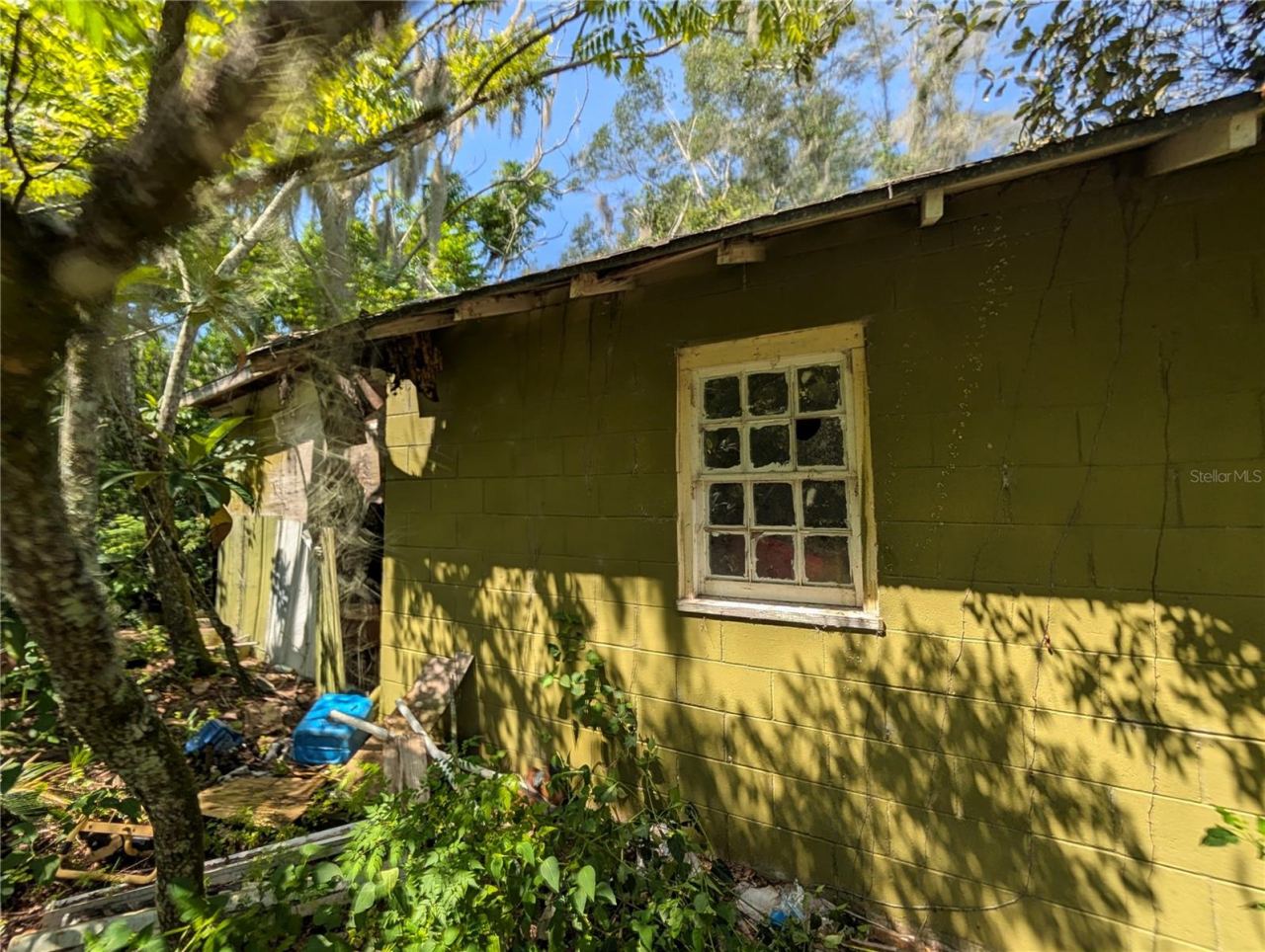 Photo 5 of 16: Side of the first house to the right