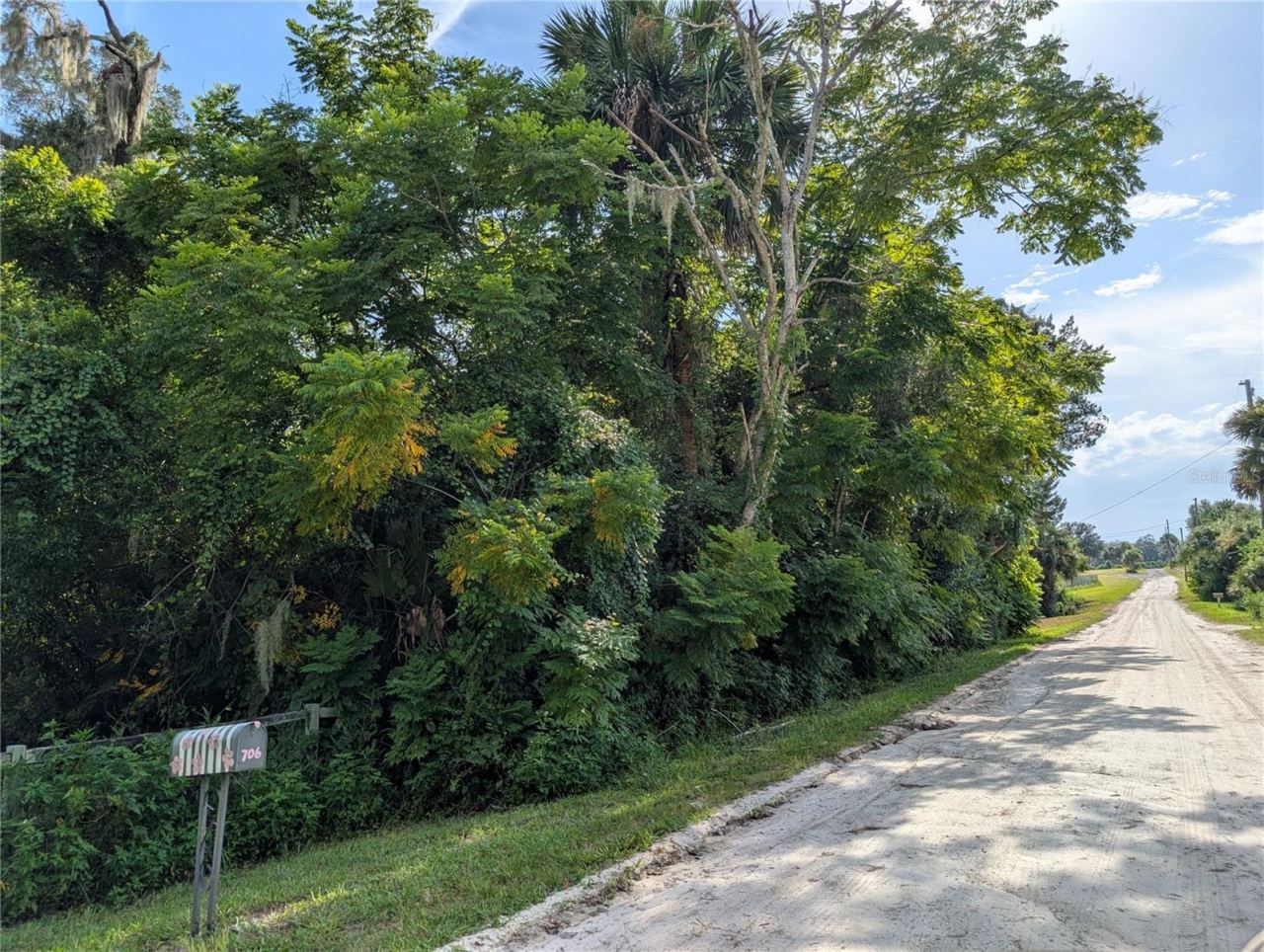 Photo 3 of 16: Looking from the neighbor's mailbox back towards the head of the street. You could build a house hidden in the woods!