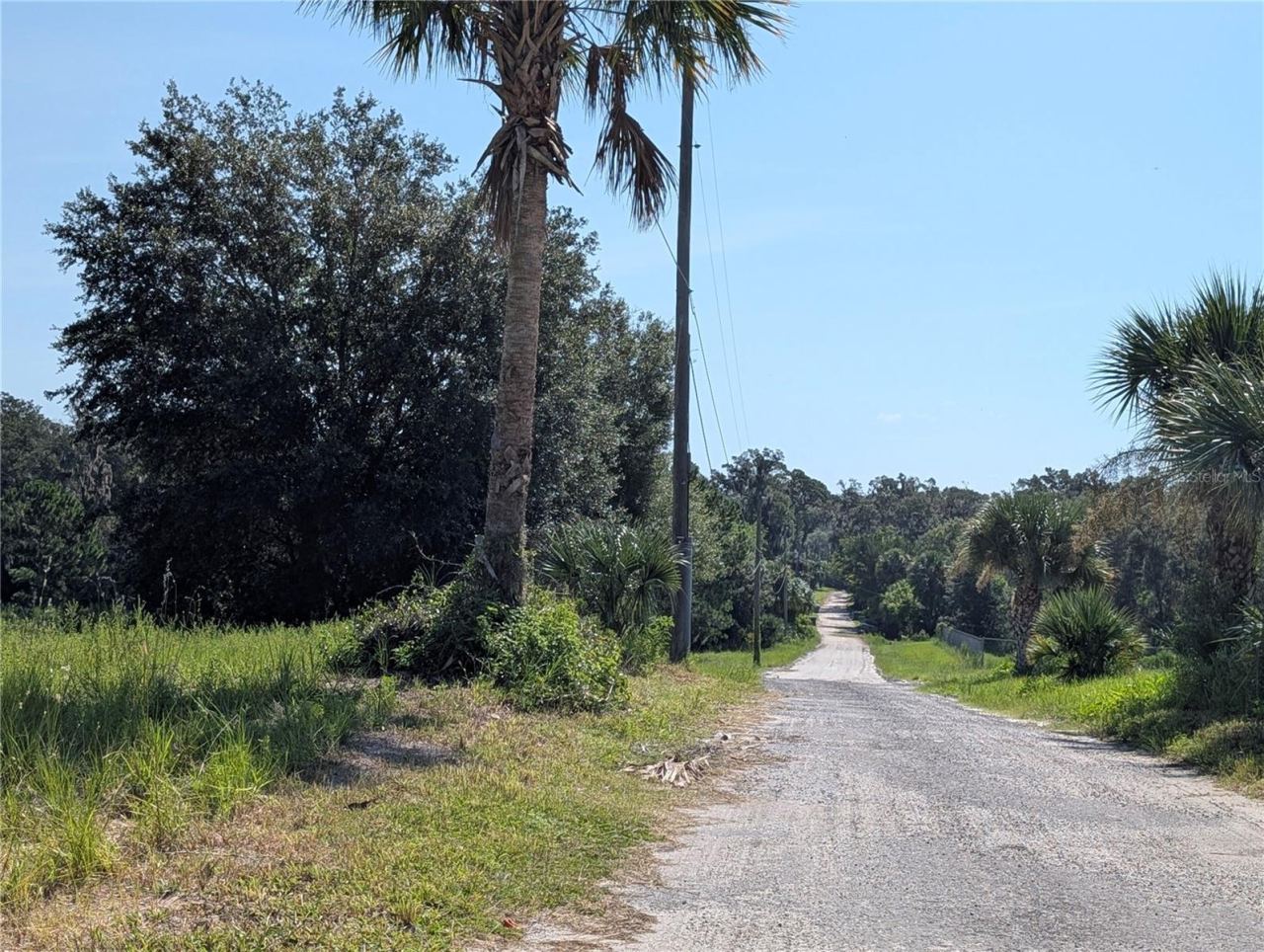Photo 2 of 16: View down Grant Avenue to the property.