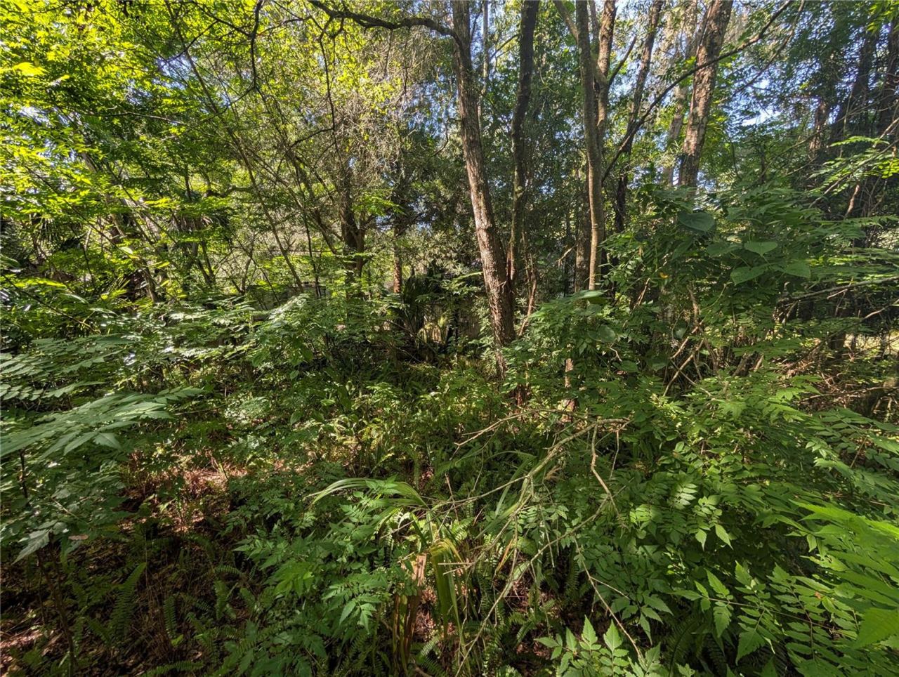 Photo 7 of 16: Seclusion
