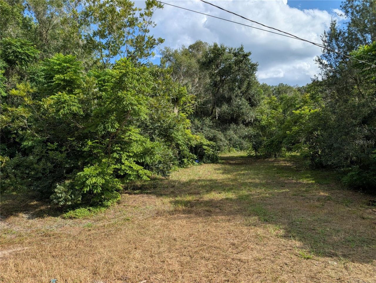 Photo 15 of 16: You can park at the first opening to walk the property.