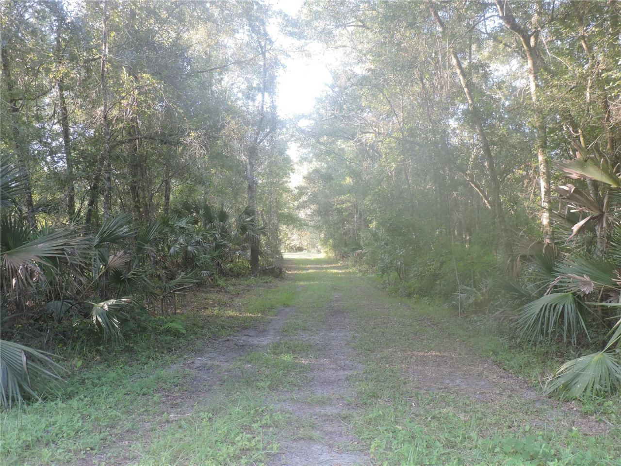 Photo 1 of 3: entering at gates