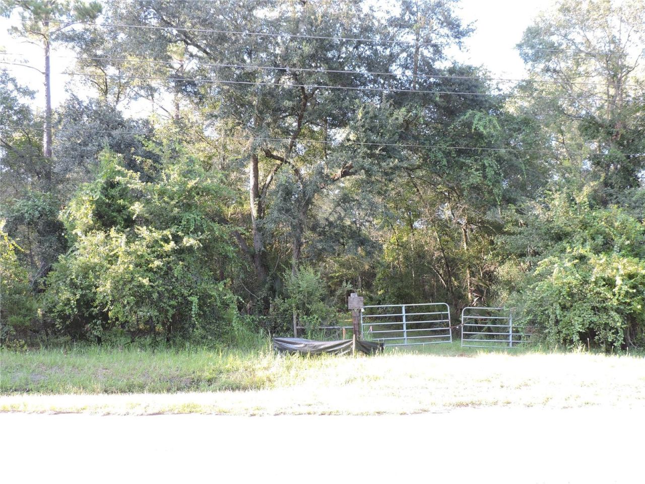 Photo 2 of 3: gates