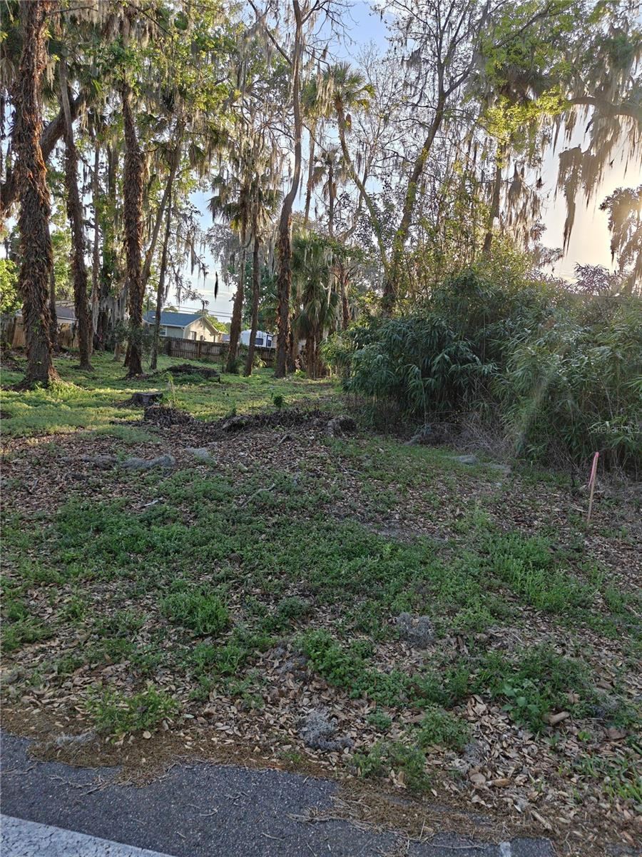 Photo 6 of 10