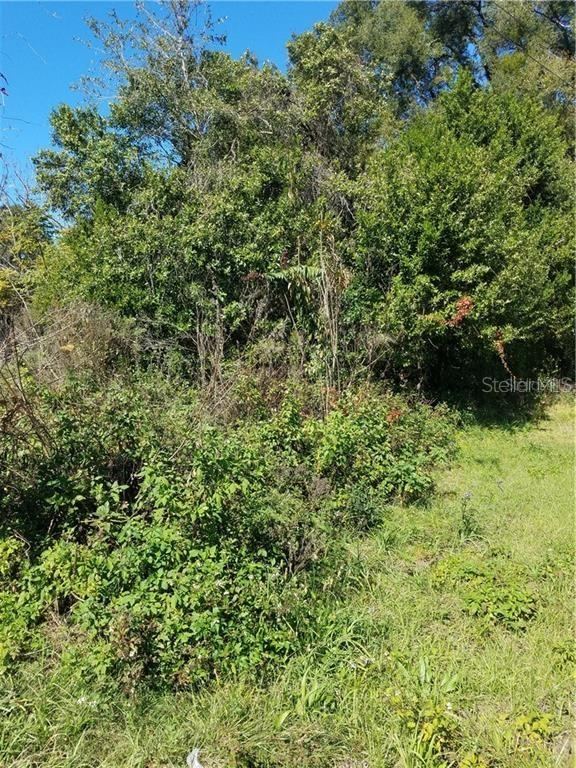 Photo 5 of 6