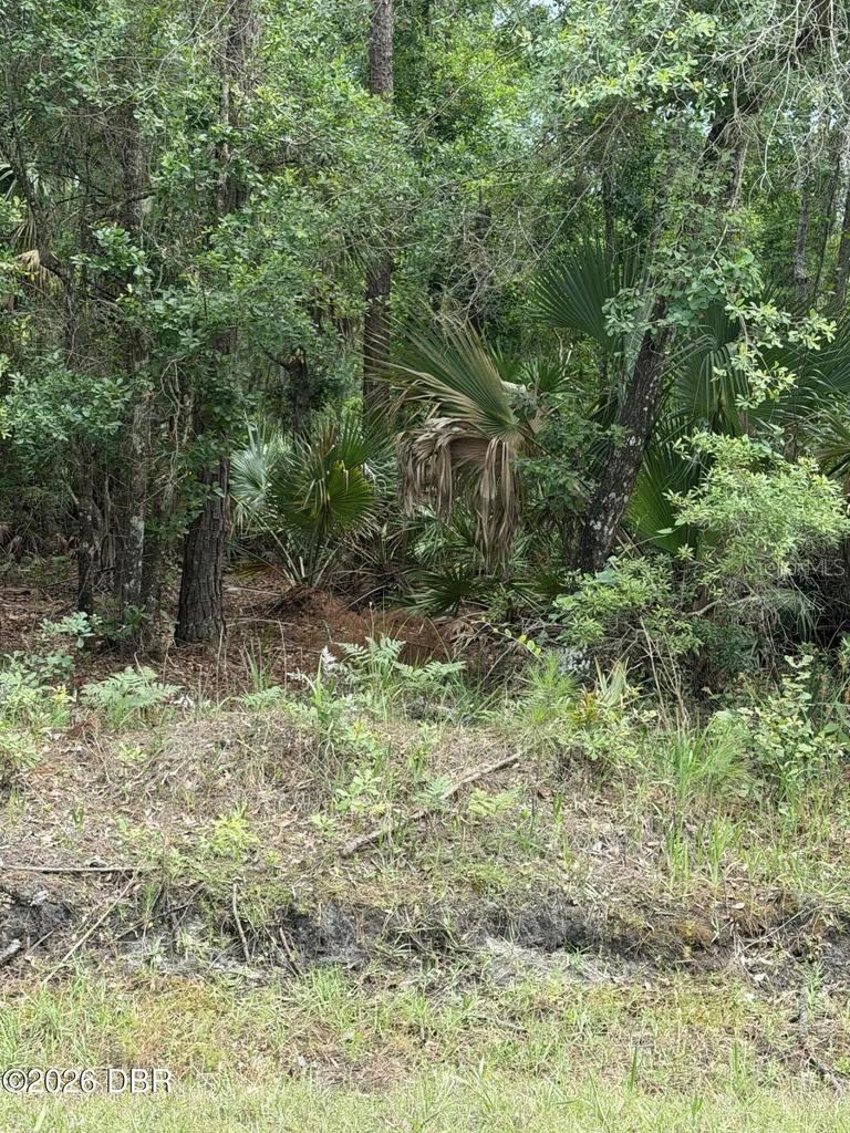 Photo 3 of 20