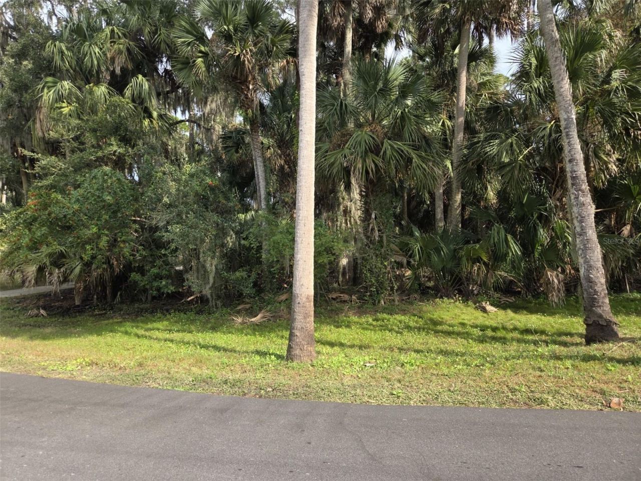Photo 6 of 12