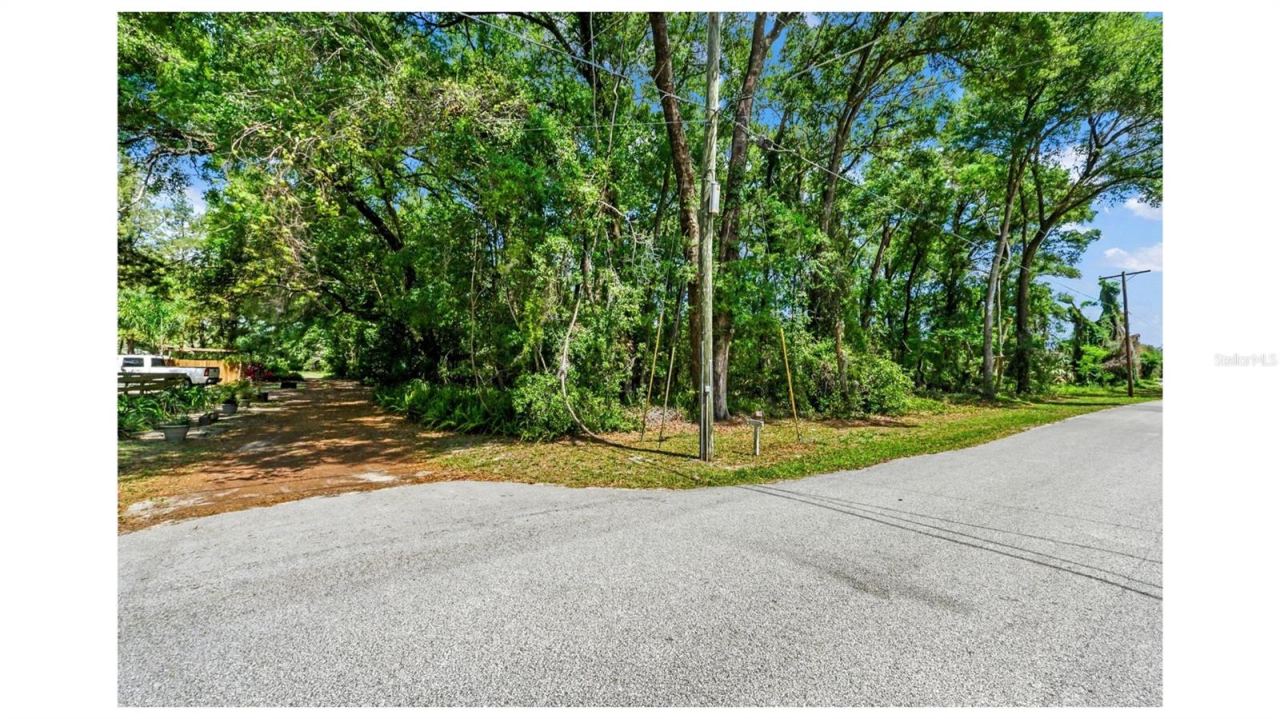 Photo 5 of 6: Rear end of the property. West Virginia Ave. street point of view.