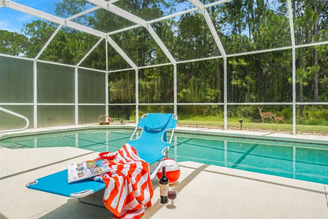 Photo 3 of 20: Private backyard backing up to a nature preserve.