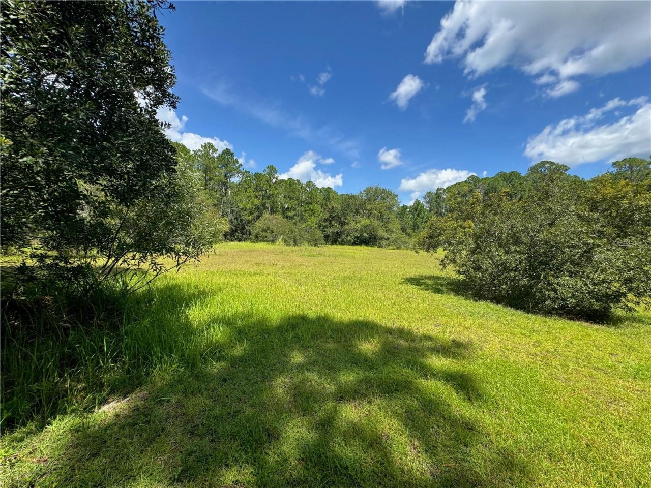 Photo 15 of 20