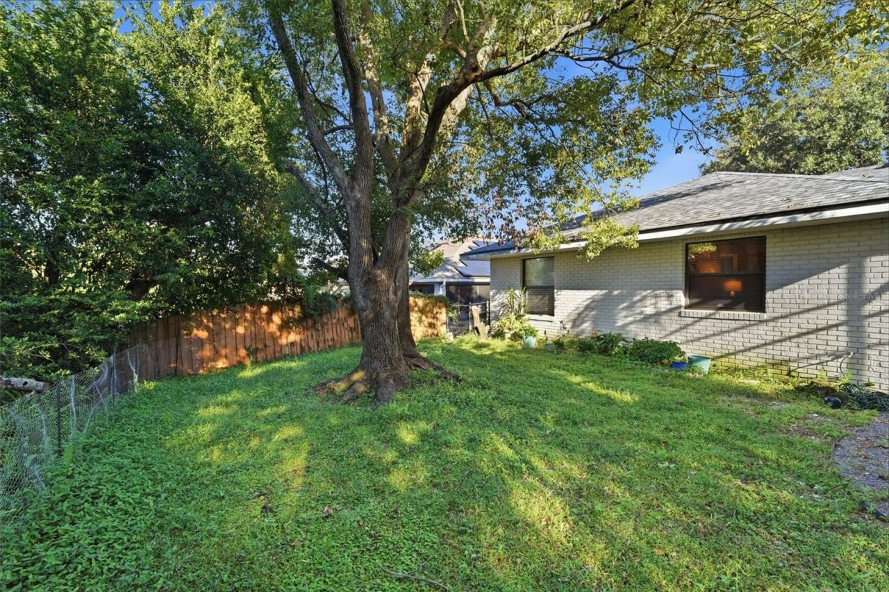 Photo 4 of 20