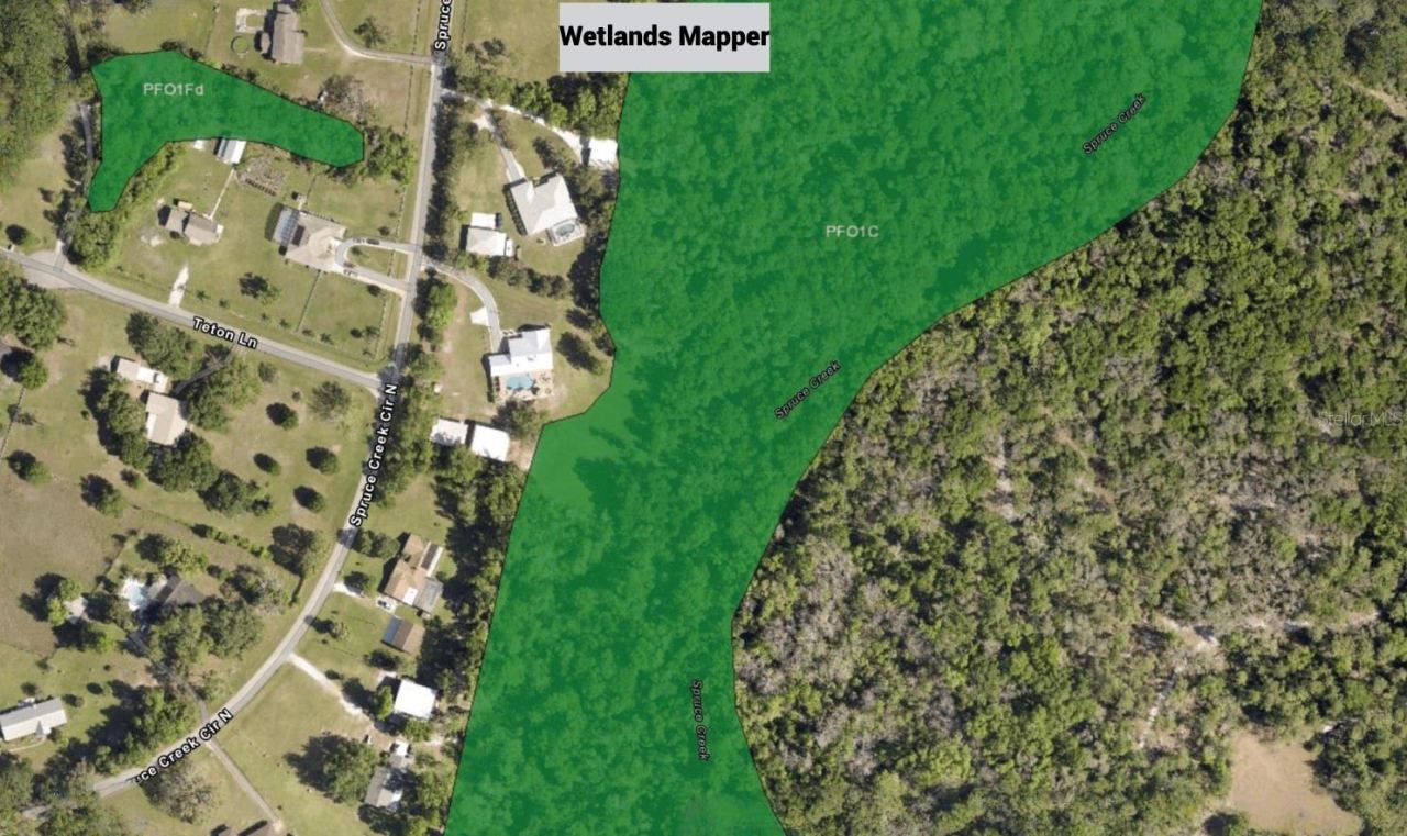 Photo 2 of 2: Wetlands Mapper