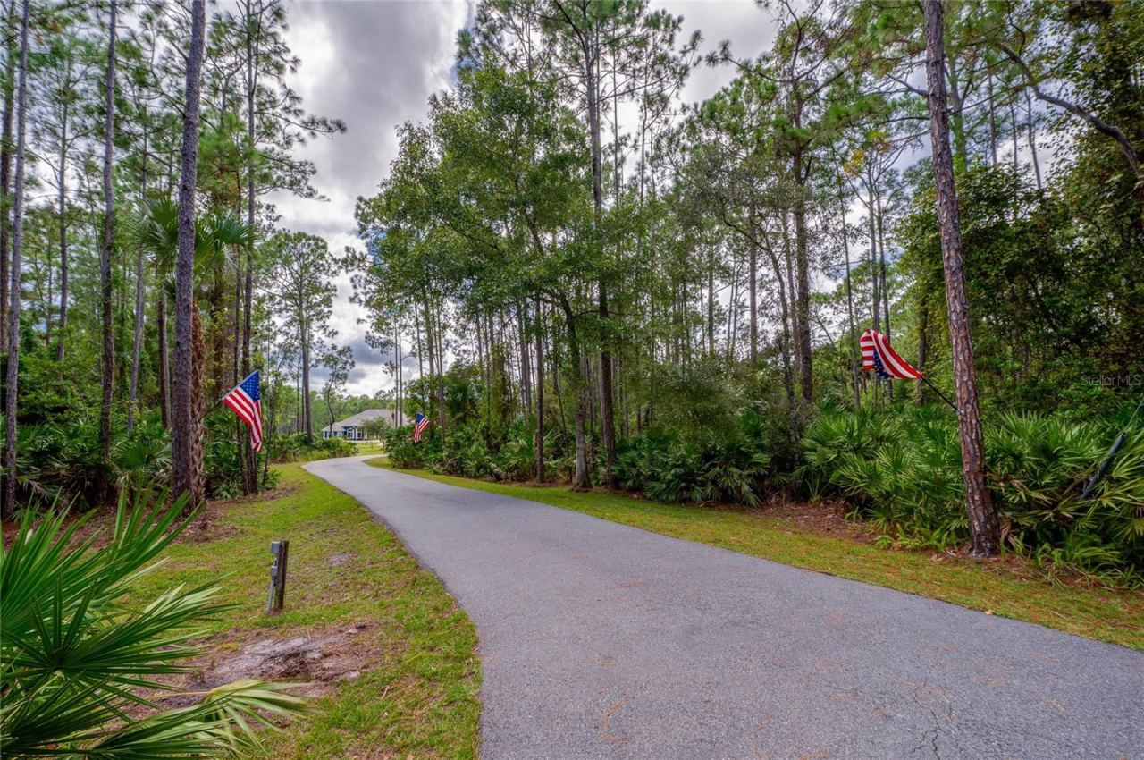 Photo 4 of 20: Private paved driveway winding through dense natural pine trees and lush greenery toward the main residence.