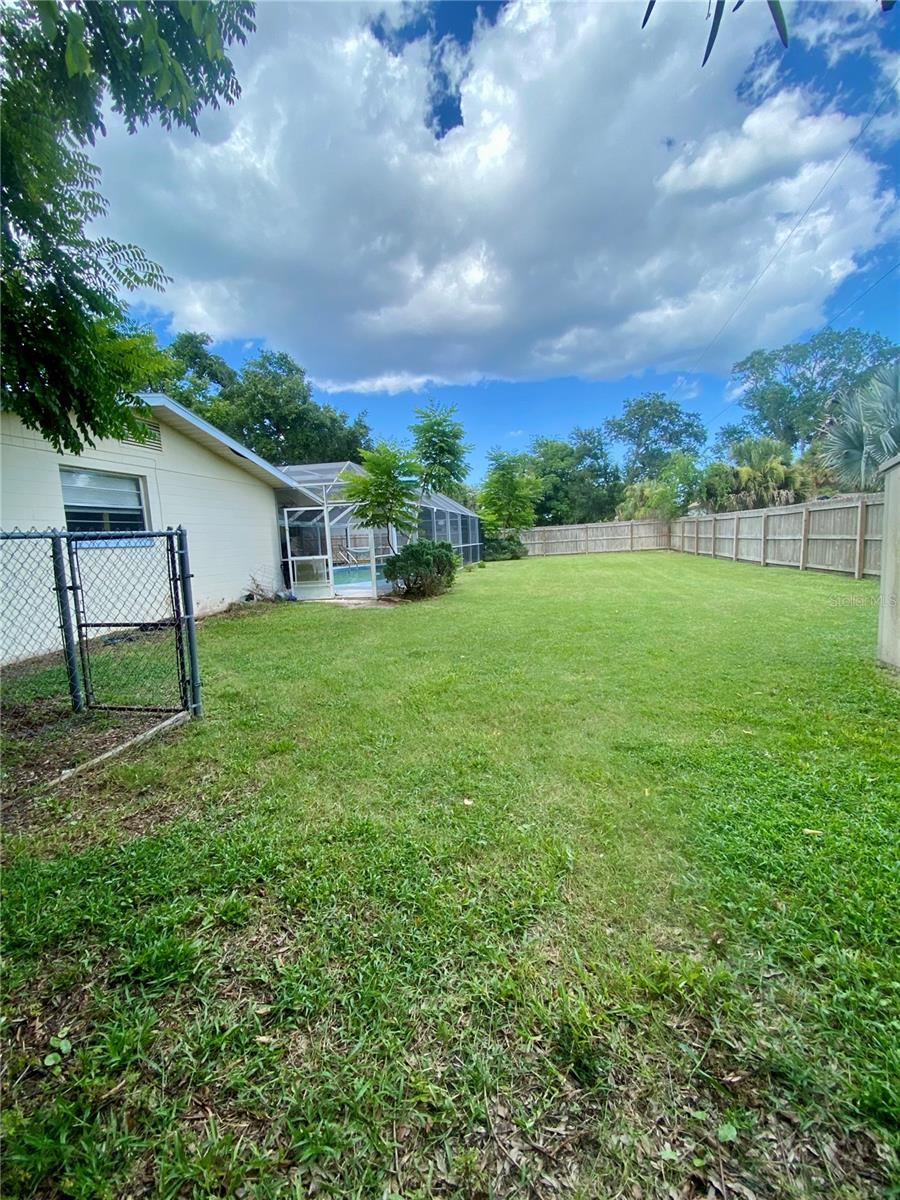 Photo 11 of 20: Backyard