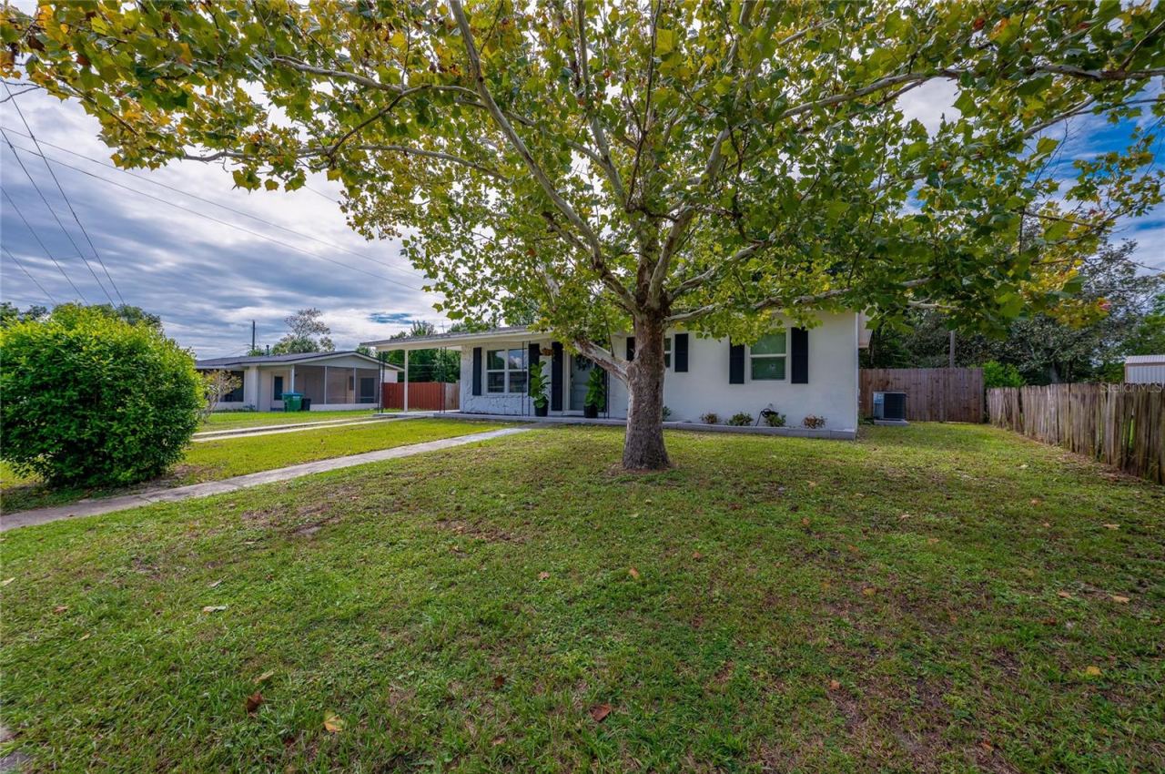 Photo 3 of 20: Lush front yard shaded by a large leafy tree, featuring a paved walkway leading to the home's single-story facade with dark window shutters.