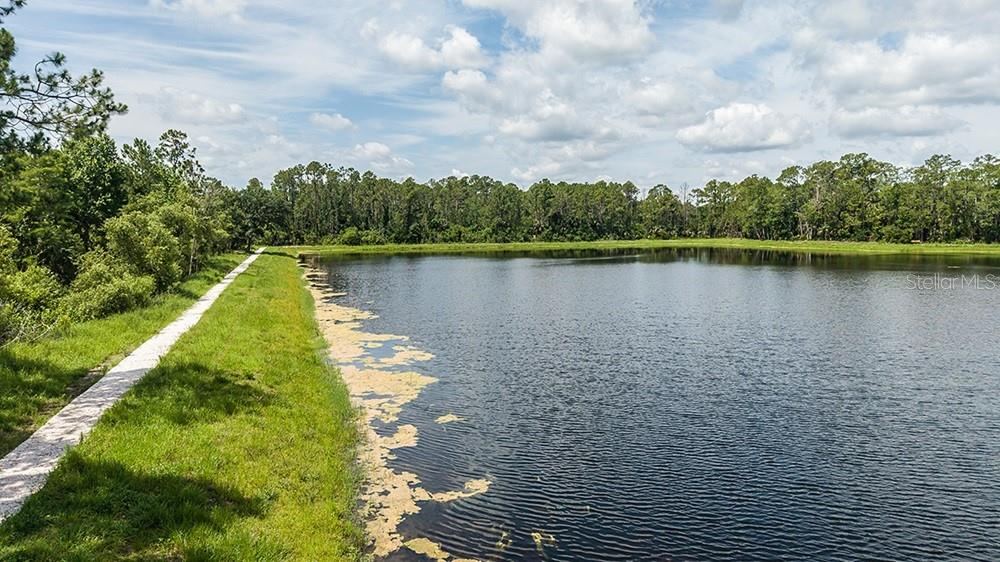 Photo 20 of 20: Ardisia Park Community
