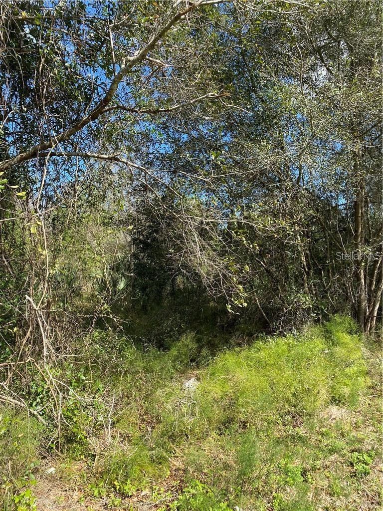 Photo 3 of 5