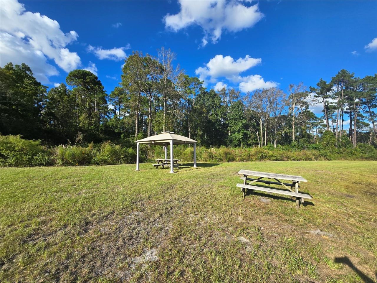 Photo 5 of 10: Rear of Property/Pond