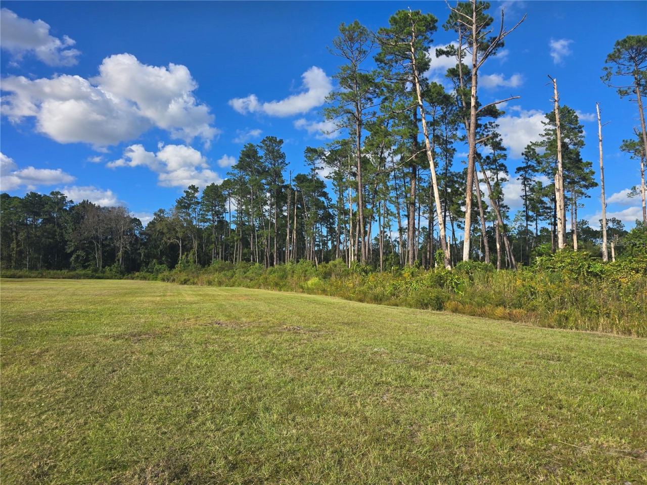 Photo 2 of 10: Right Side of Property