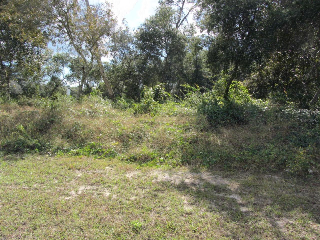 Photo 6 of 12