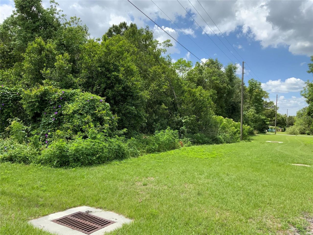 Photo 13 of 14: Edge of Property on Left - Depth is Approx. 121 Feet