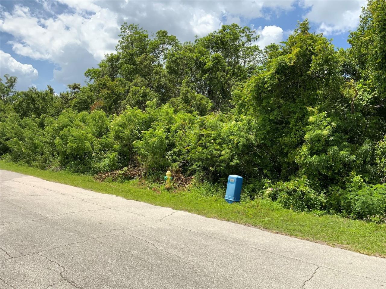 Photo 10 of 14: Public Water Abuts Property