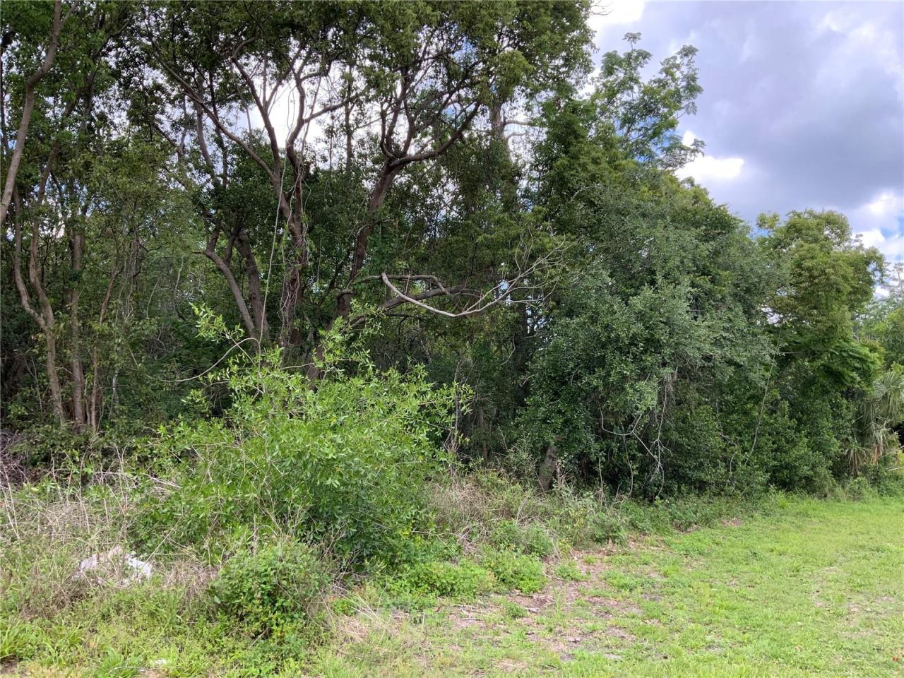 Photo 5 of 14: View of Property