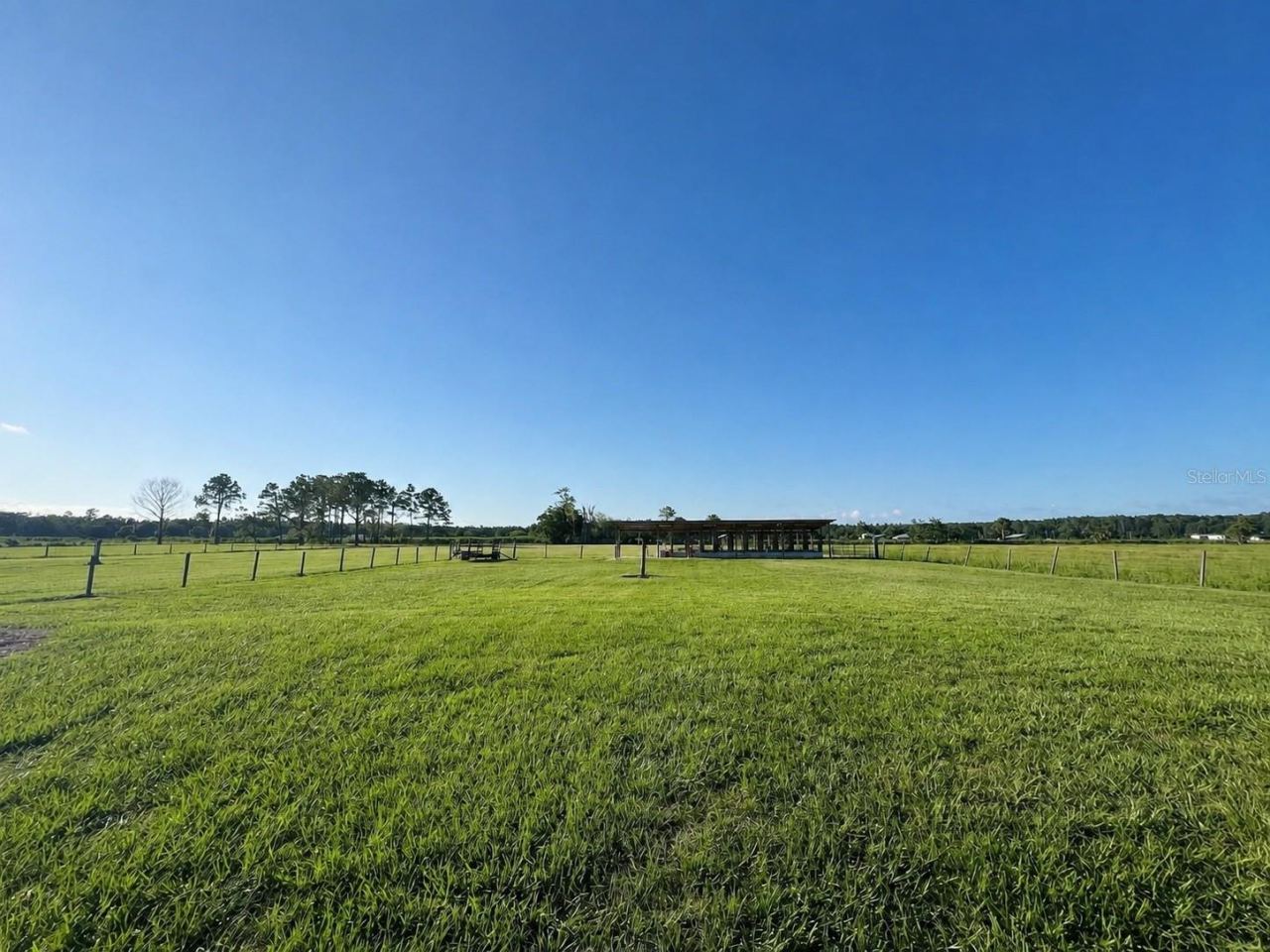 Photo 16 of 20