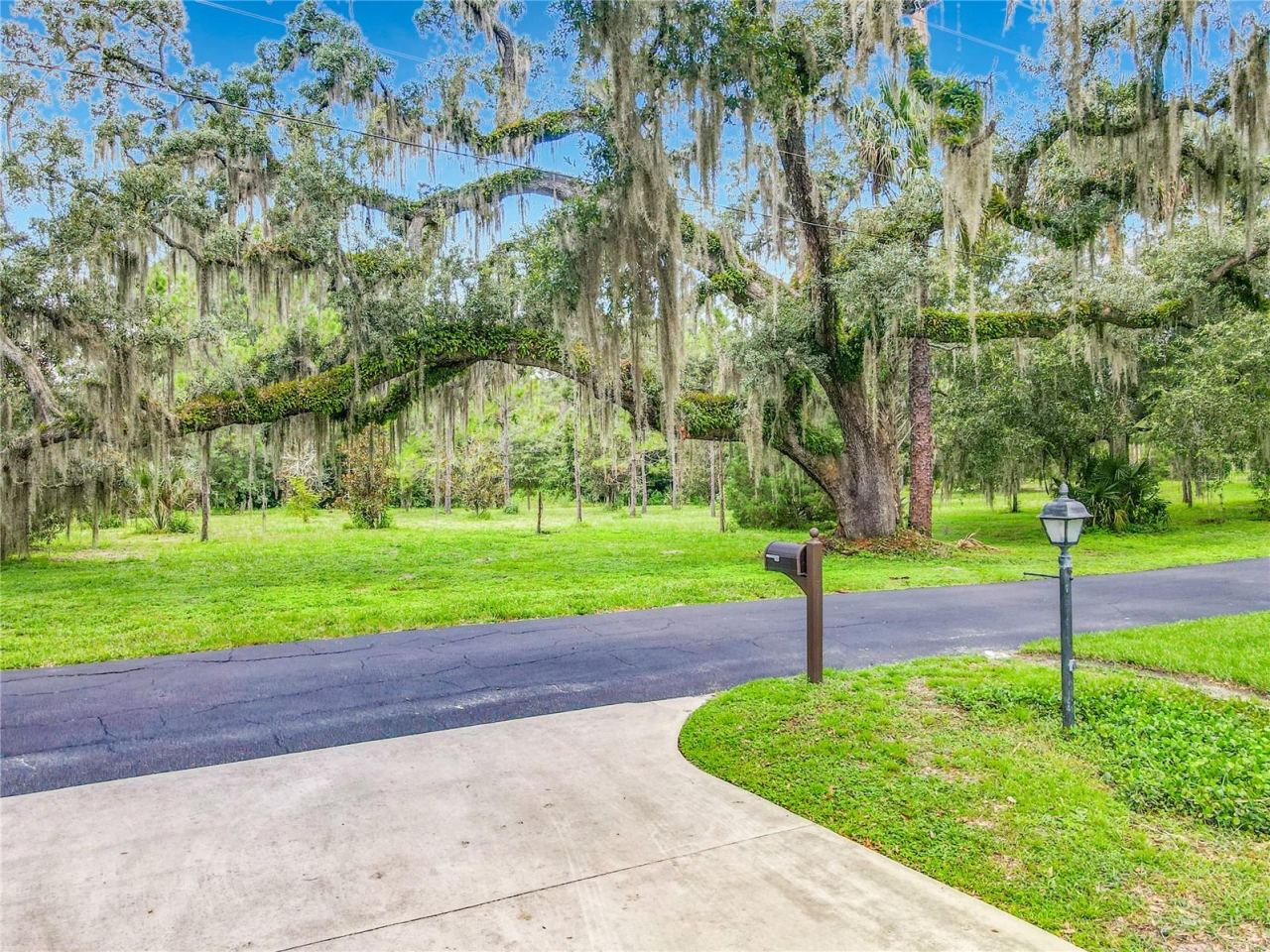 Photo 3 of 20: front yard greenspace views. beautiful live oak trees.
