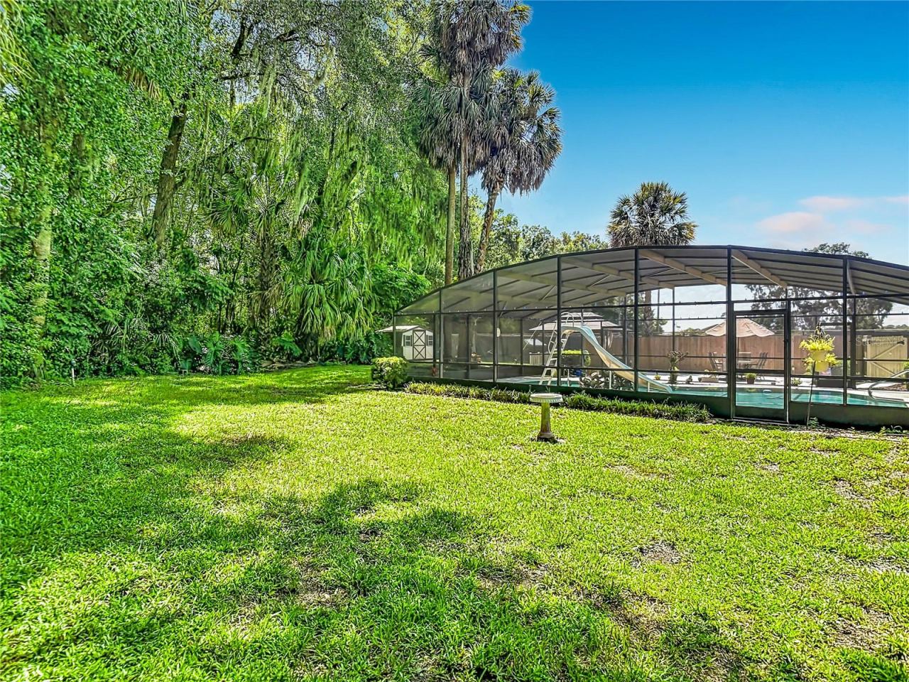 Photo 9 of 20: Wooded backyard
