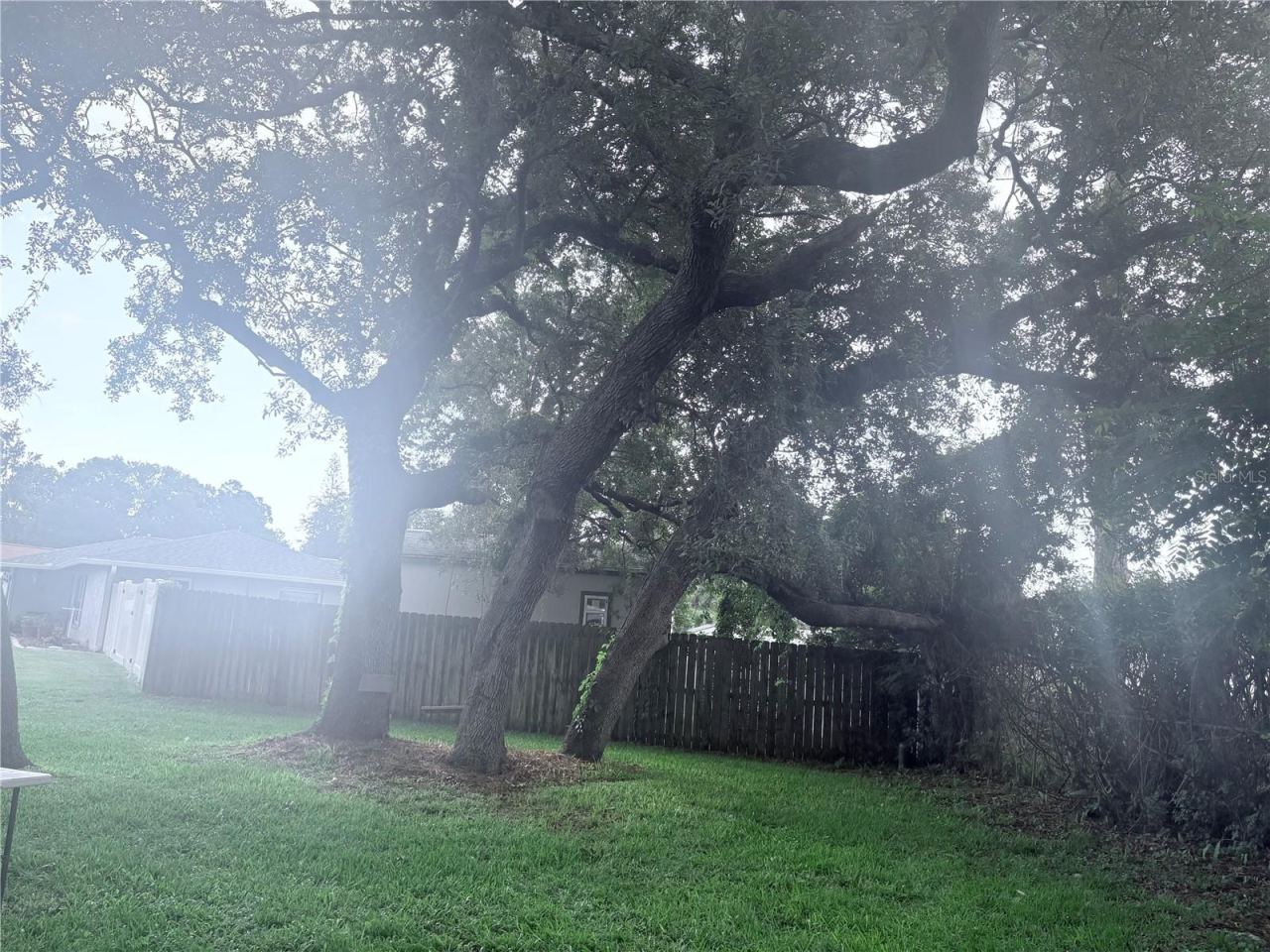 Photo 13 of 16