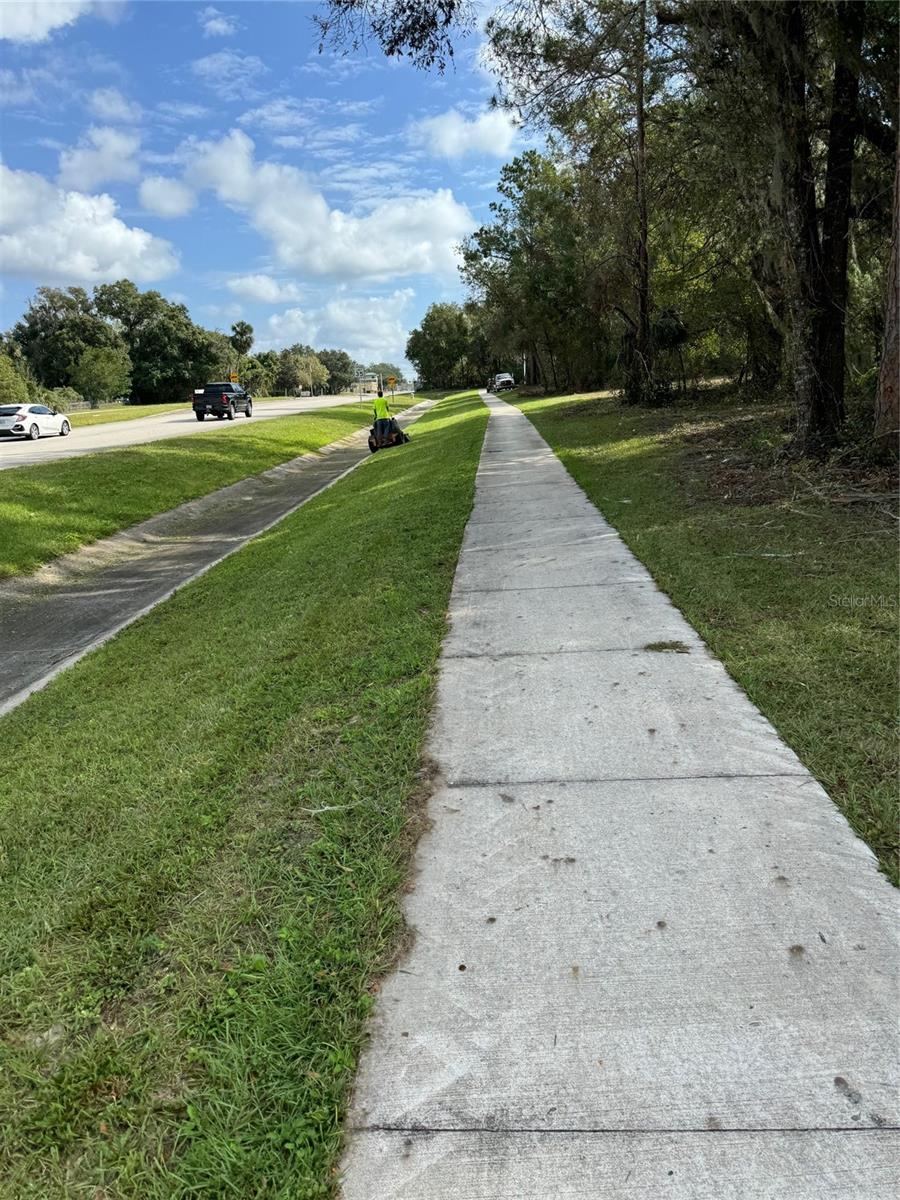 Photo 4 of 20