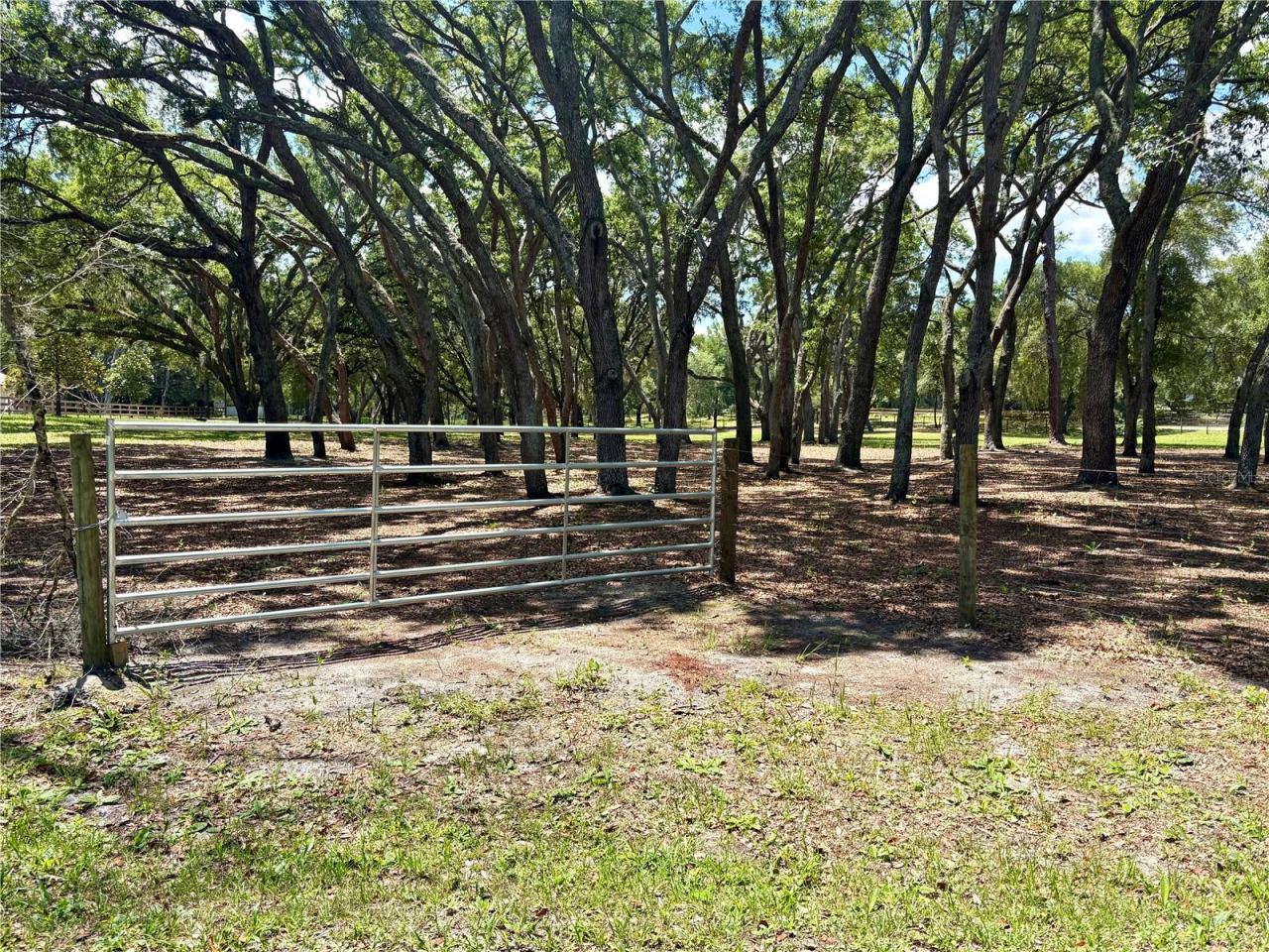 Photo 2 of 10: Gated entryway