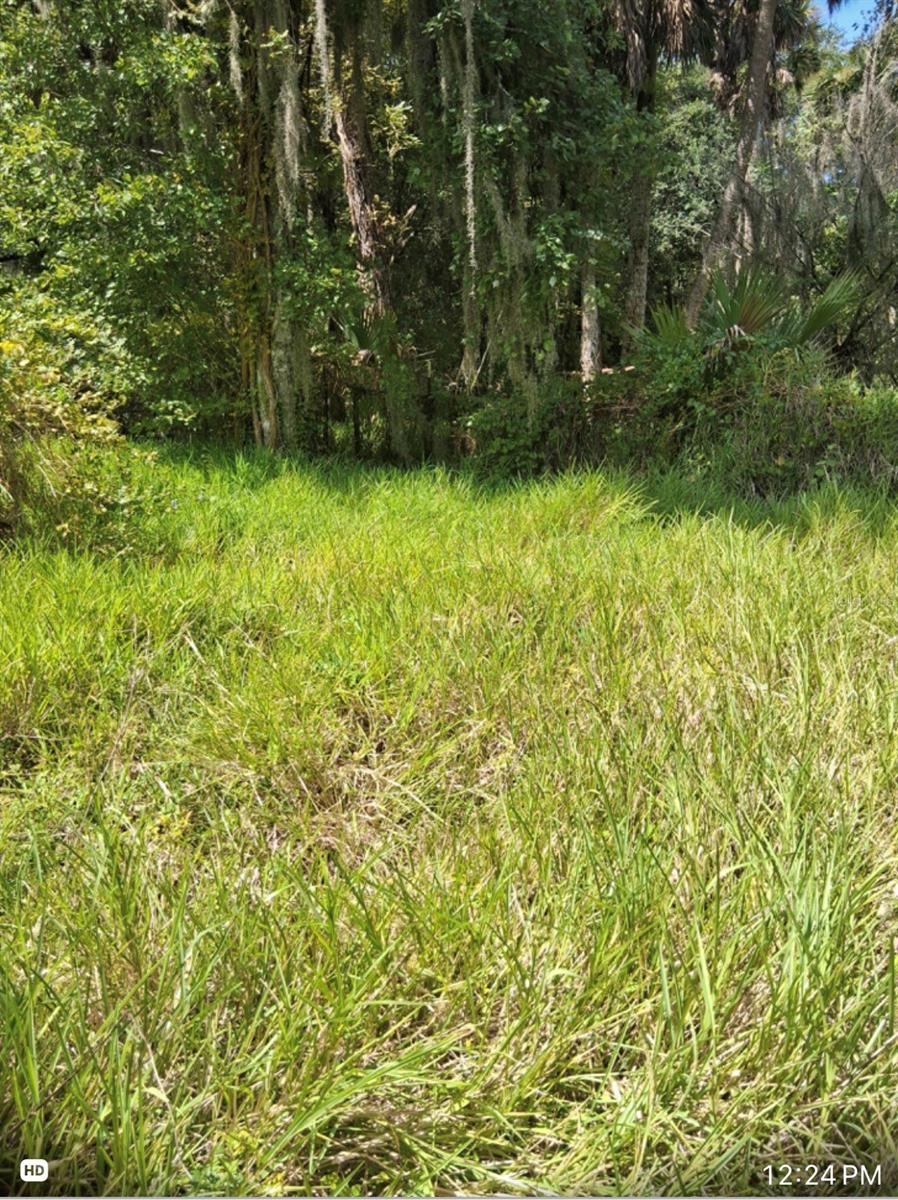Photo 18 of 19