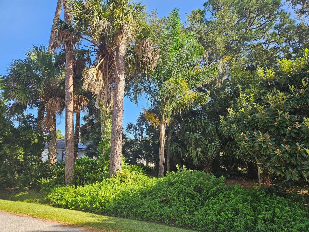 Photo 1 of 10: Pine Tree Lot - looking NE
