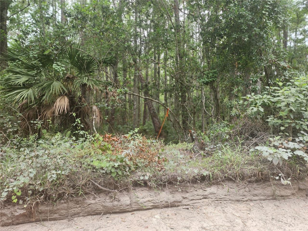 Photo 7 of 12