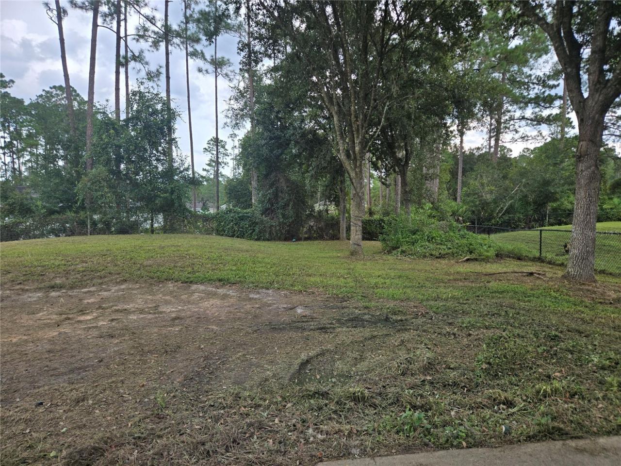 Photo 15 of 15: Yard