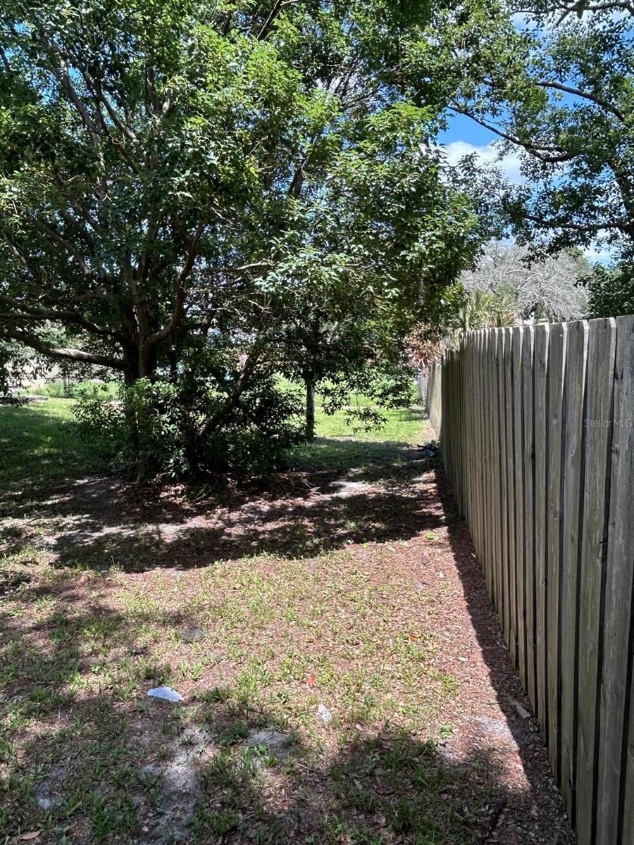 Photo 18 of 20