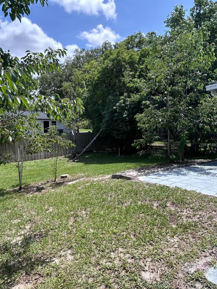 Photo 20 of 20