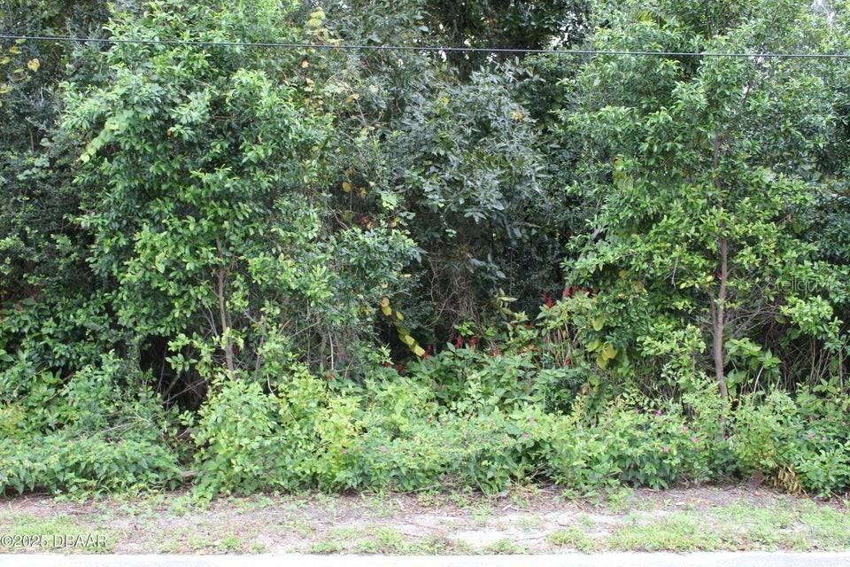 Photo 4 of 4