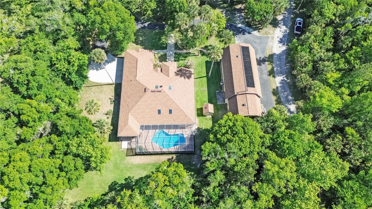 Photo 4 of 20: 2.7 Acres east of I-95 in New Smyrna Beach!