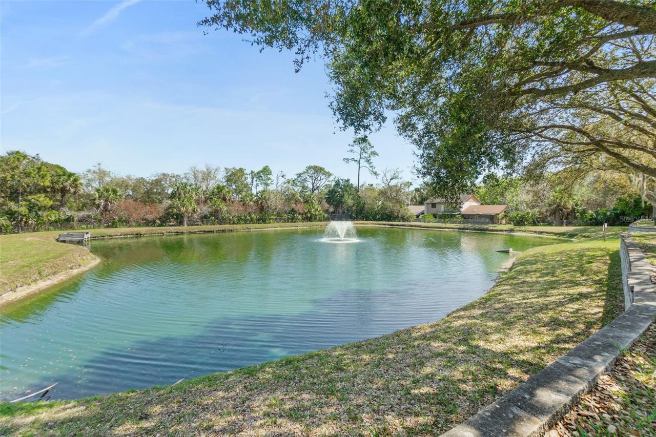 Photo 5 of 20