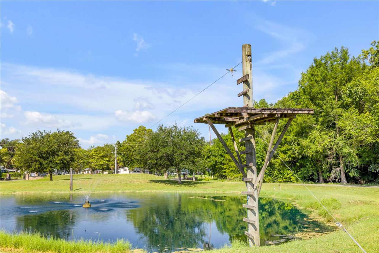 Photo 10 of 20