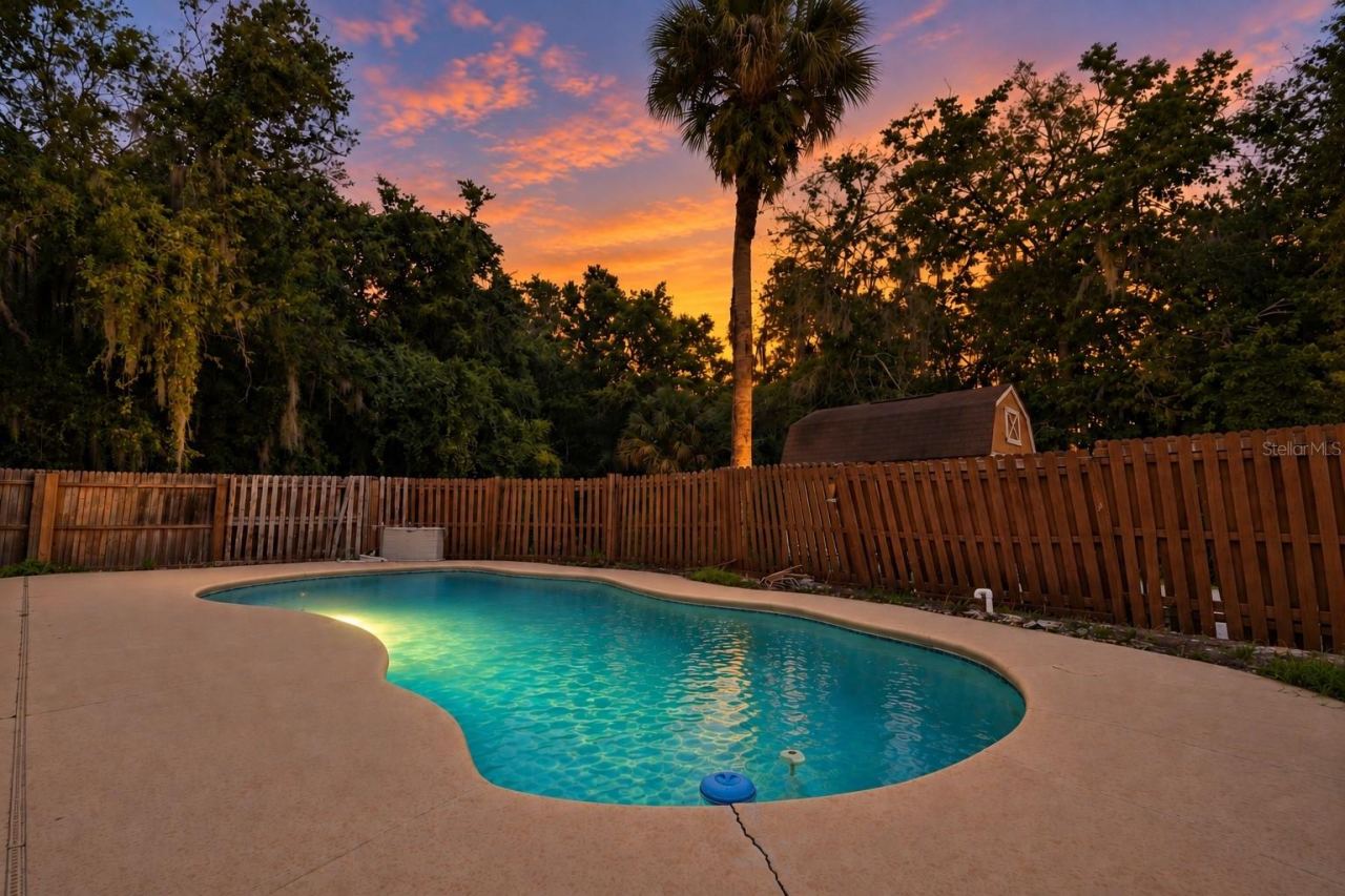 Photo 3 of 20: Backyard Pool