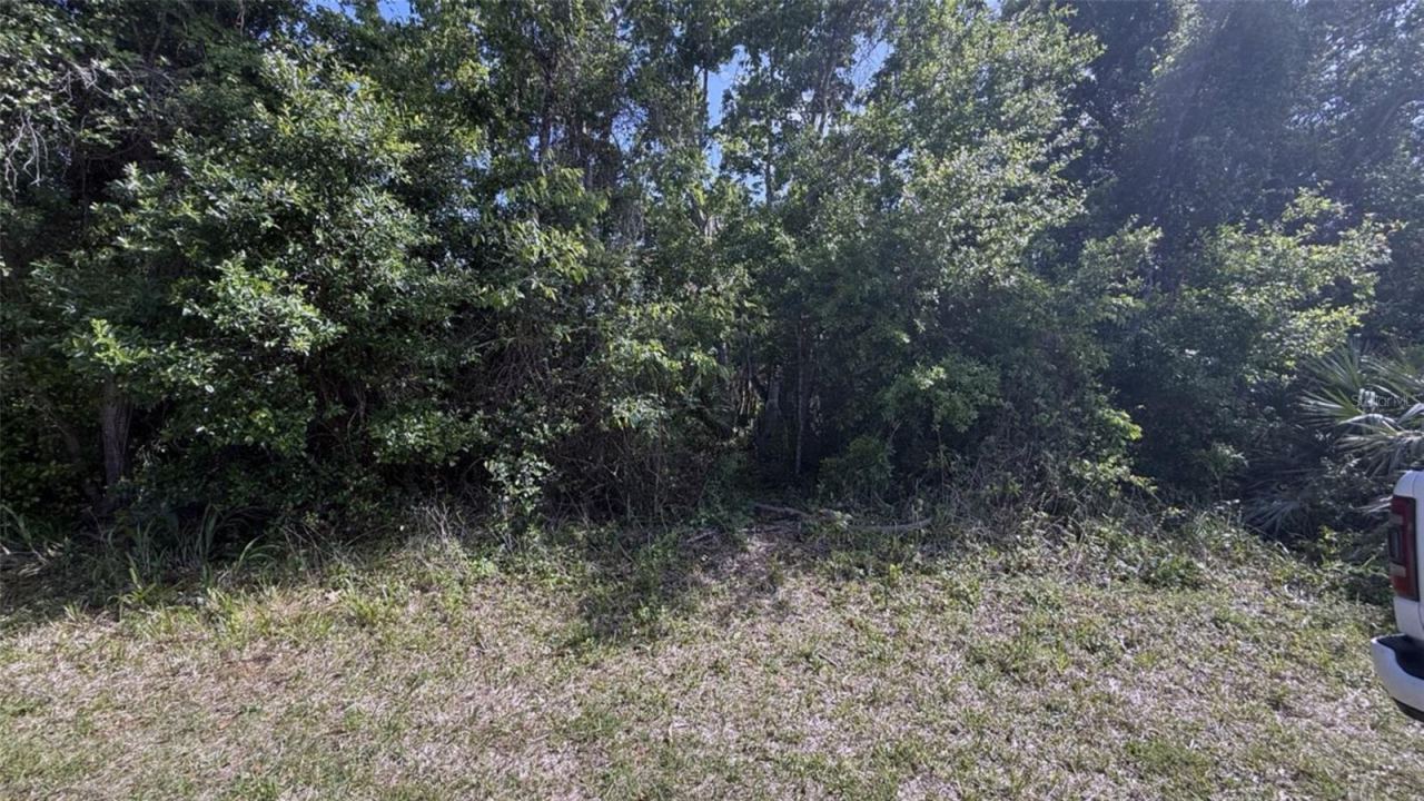 Photo 3 of 5